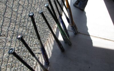 Bullies Posing as Adults (coming to a neighborhood near you…)