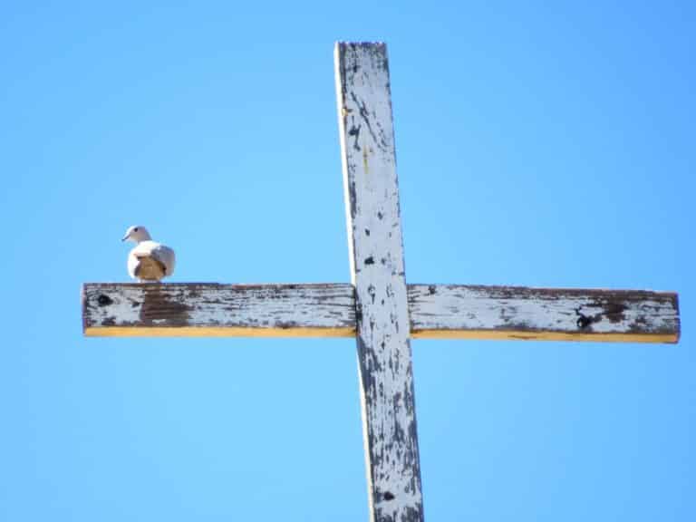 Haven Writing Retreats