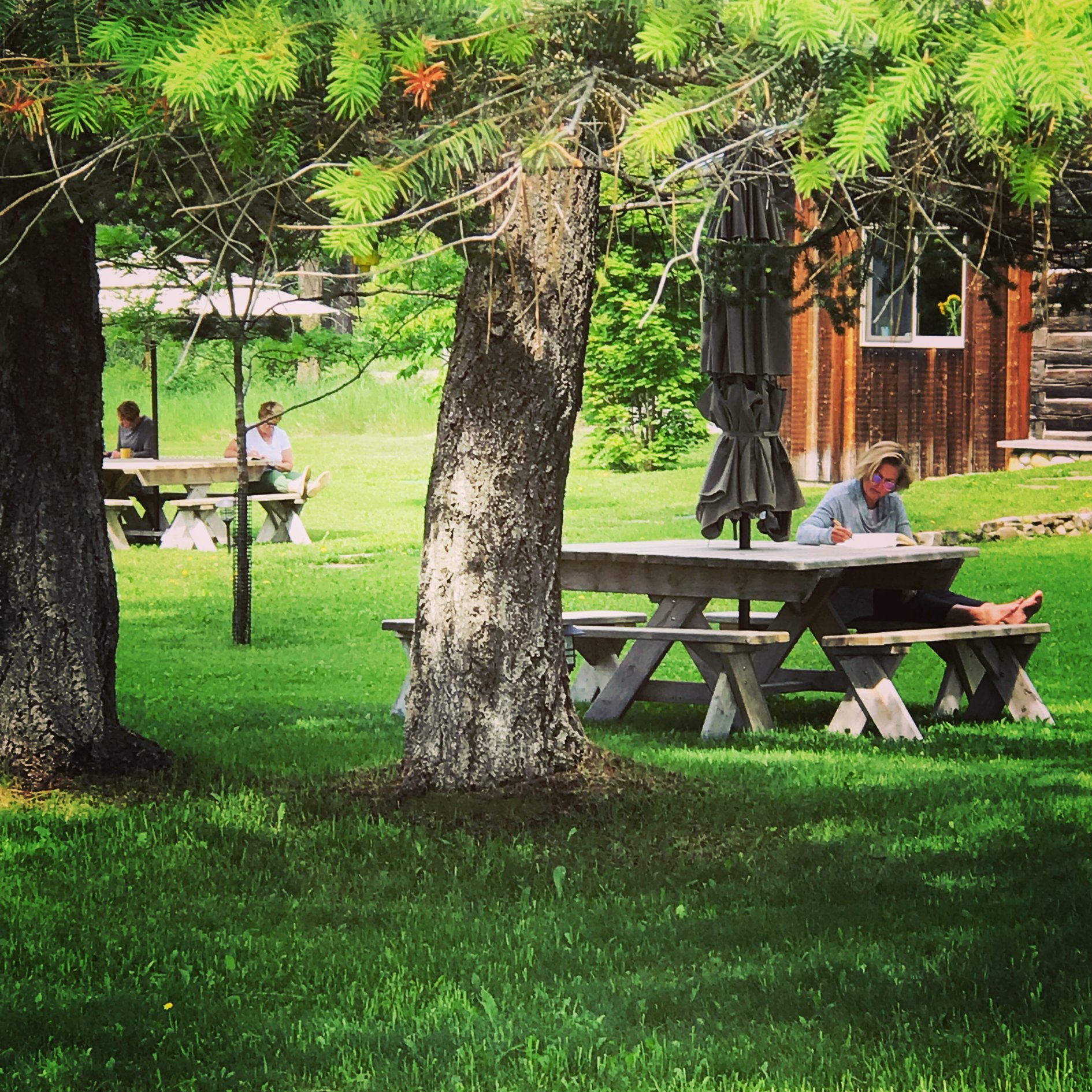 afternoons in montana at haven writing retreat