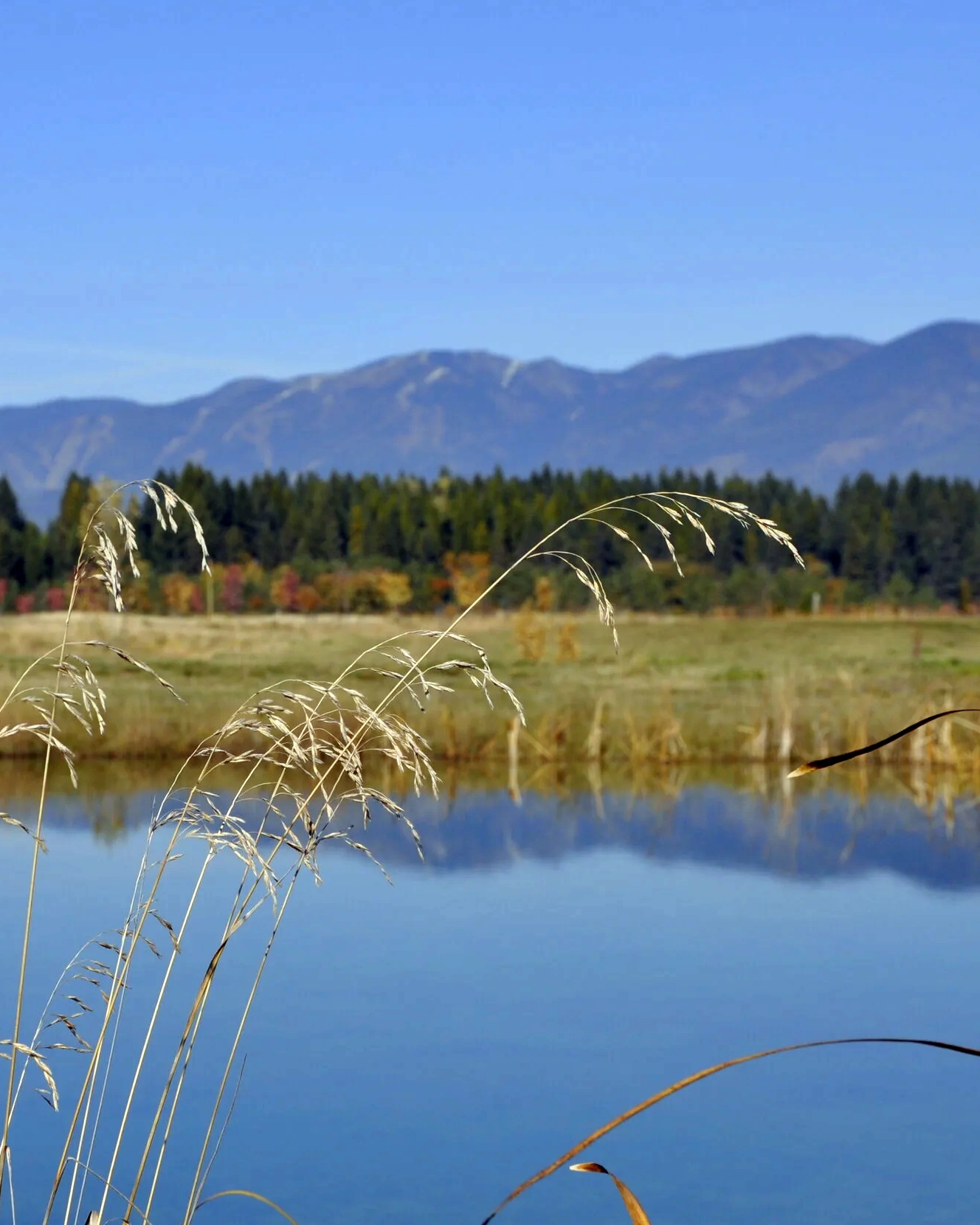 Montana Landscape at HAven Writing Retreats